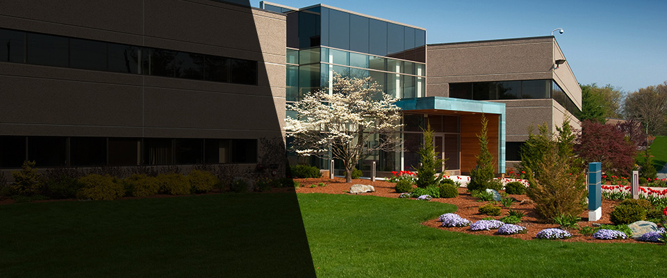 Marcus Hook Landscapers