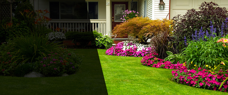 Marcus Hook Landscapers