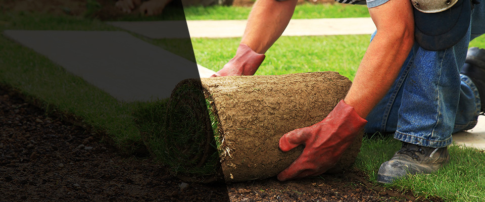 Marcus Hook Landscapers